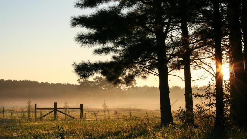 03673 goodmorningalabama 2560x1440