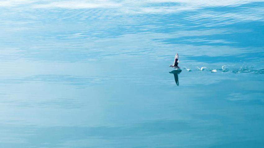 03682 runningonwater 2560x1440