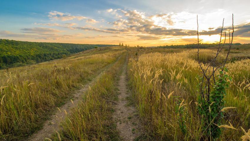 03703 pastoralroad 2560x1440