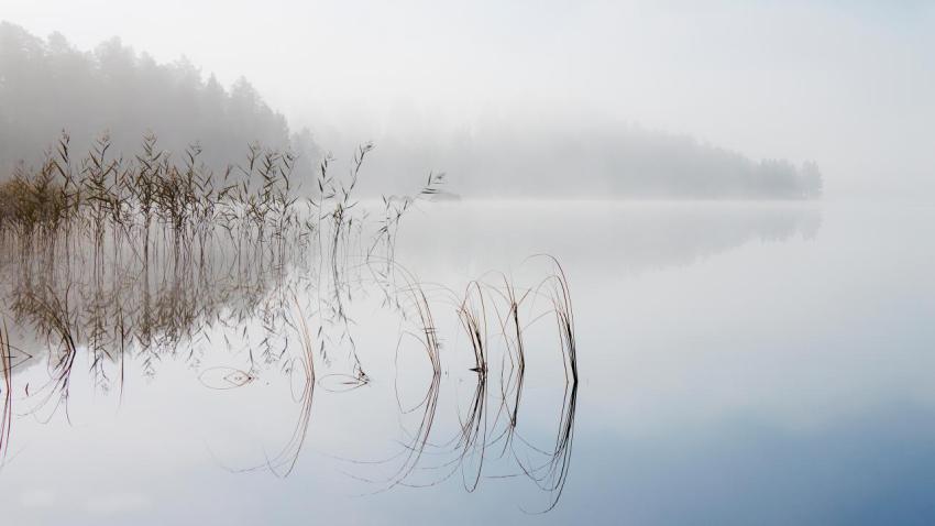 03716 morningmist 2560x1440