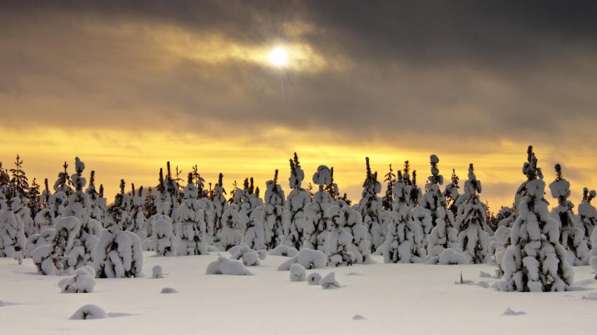 03717 wintertime 2560x1440
