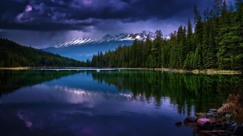 03728 nocturnal 2560x1440
