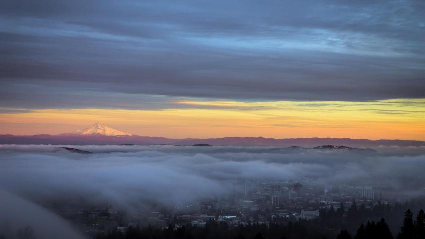 Crawling Over Portland