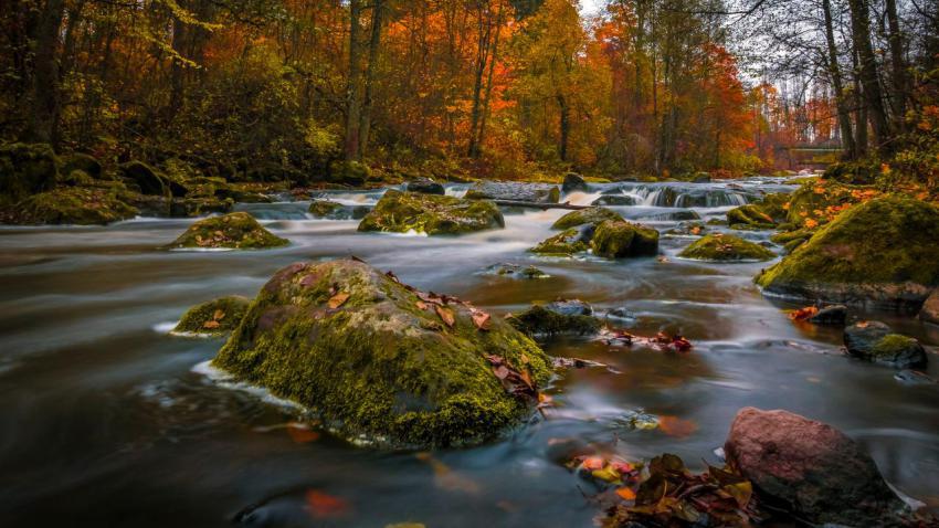 03737 colorsofautumn 2560x1440