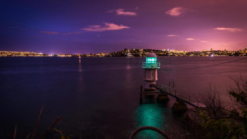 03742 greeninpurple 2560x1440