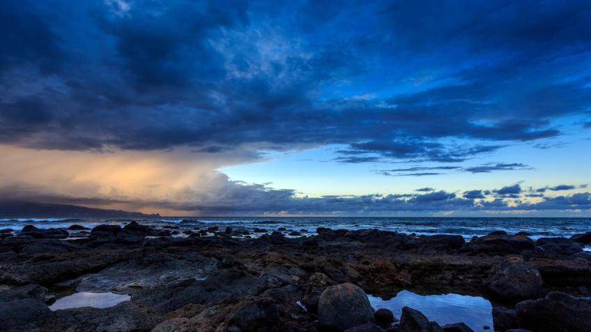 03781 yellowrain 2560x1440