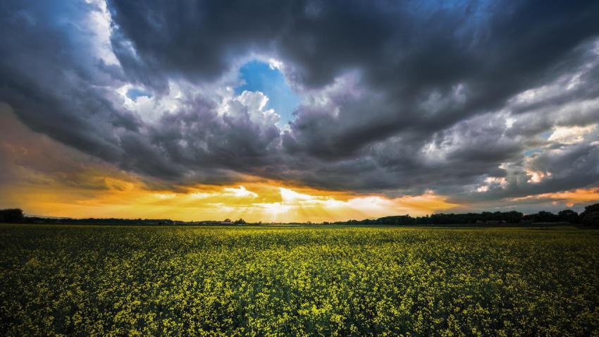 03792 wheretheyellowfieldsareswaying 2560x1440