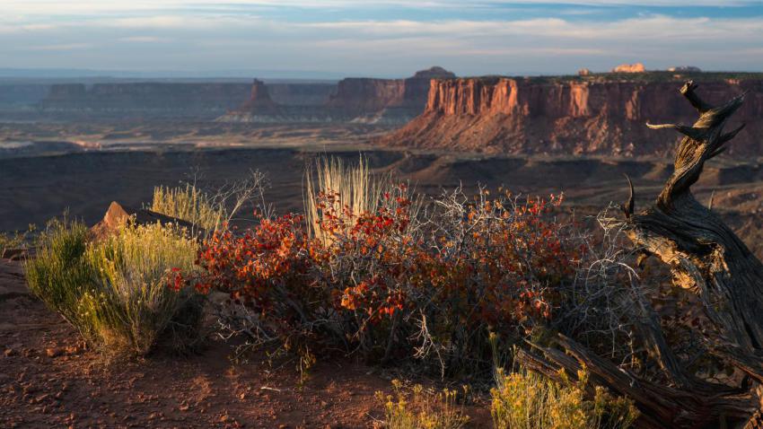 03793 canyonlands 2560x1440