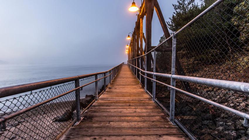 Foggy Pier