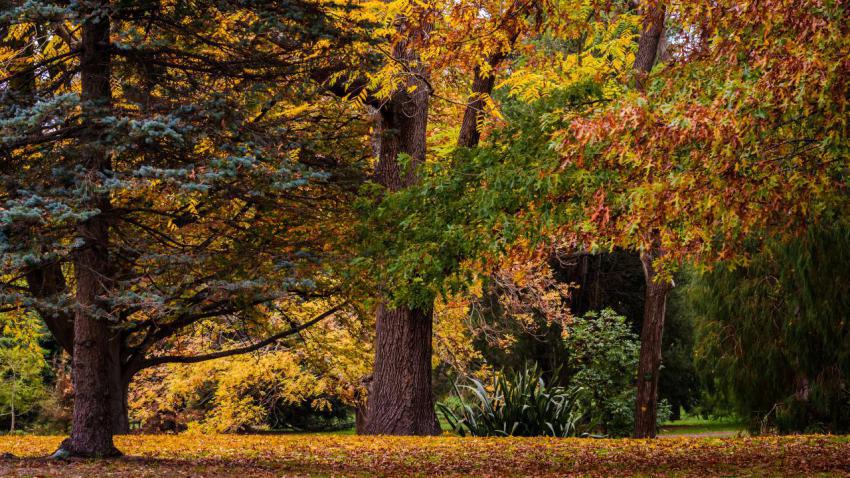 03891 autumncolours 2560x1440