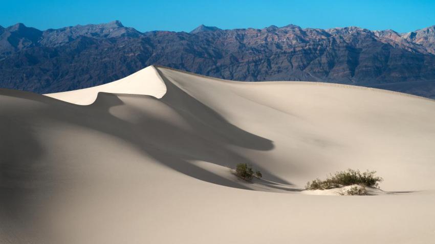 03919 mesquiteflat 2560x1440