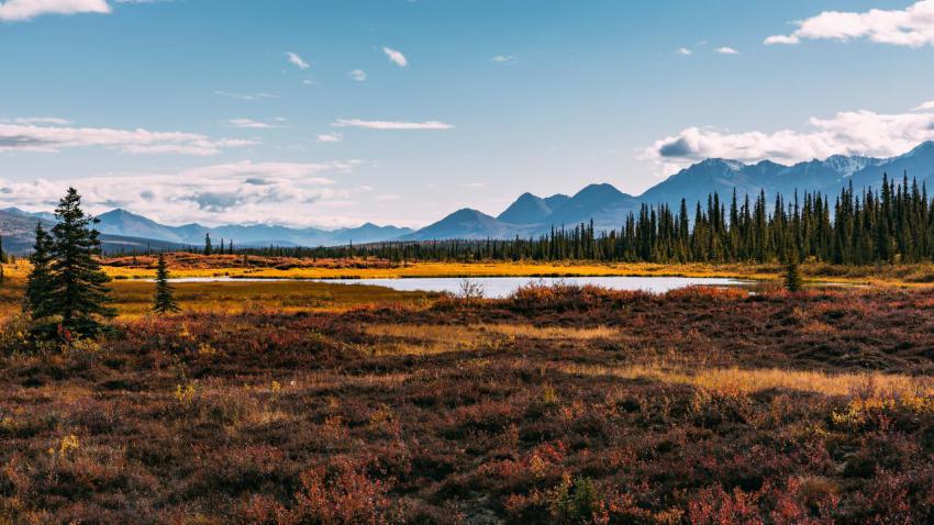 03978 autumninalaska 2560x1440