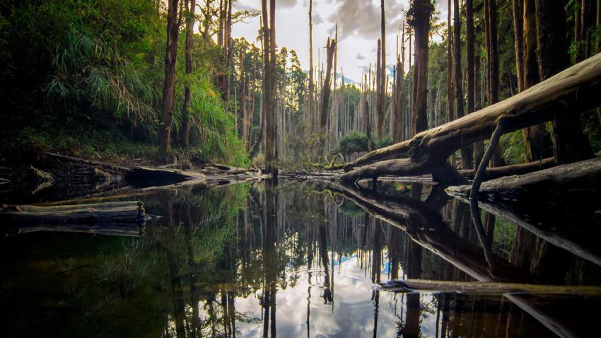 03985 caodiwetland 2560x1440