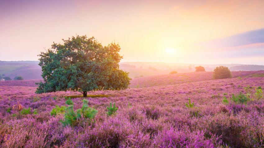 04071 posbanksunrise 2560x1440