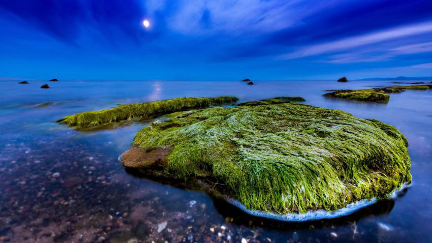 04073 scottishbeach 2560x1440