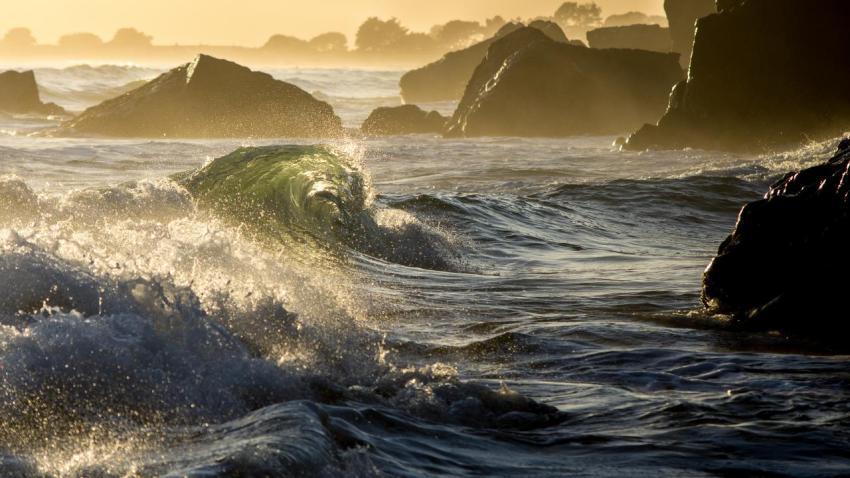 04121 windwaterfireearth 2560x1440
