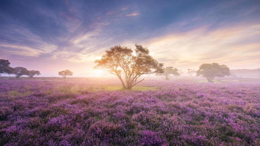04129 zuiderheide 2560x1440