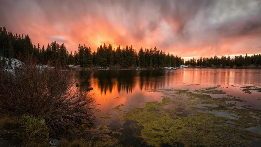 04145 coloradoablaze 2560x1440