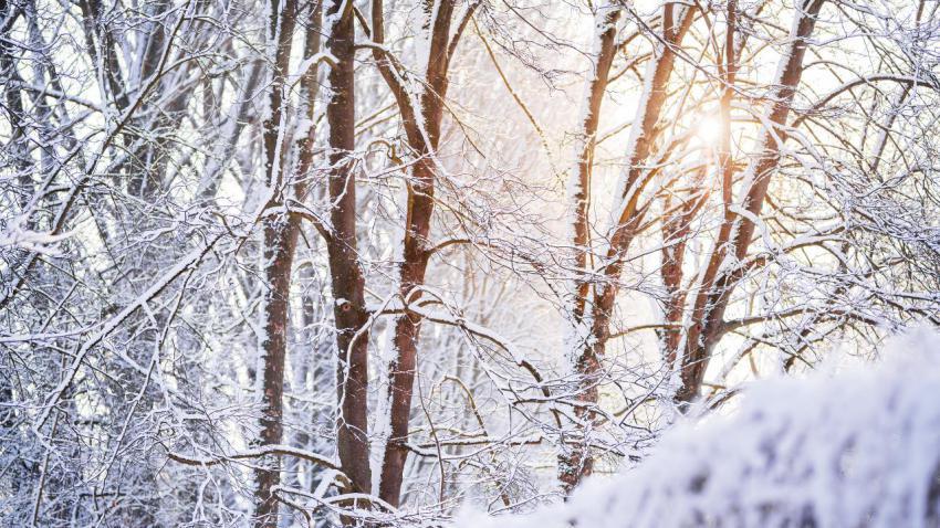 04174 wintersunlight 2560x1440