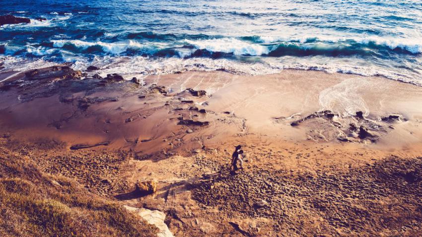 A Walk in the Beach