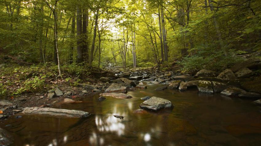 Adventure trail