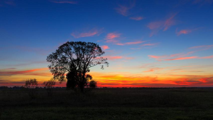 Afterglow