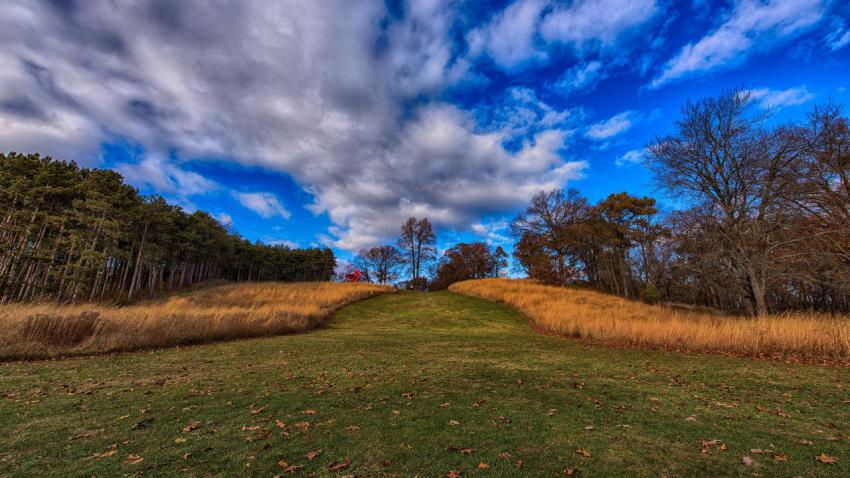 At Storm King Art Center