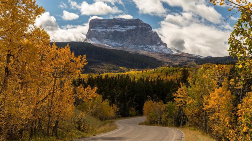 Autumn Curves