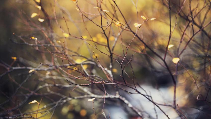 Autumn is here