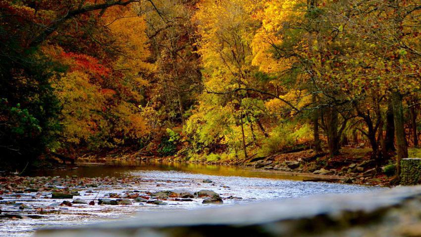 Autumn Morning at Valley Green