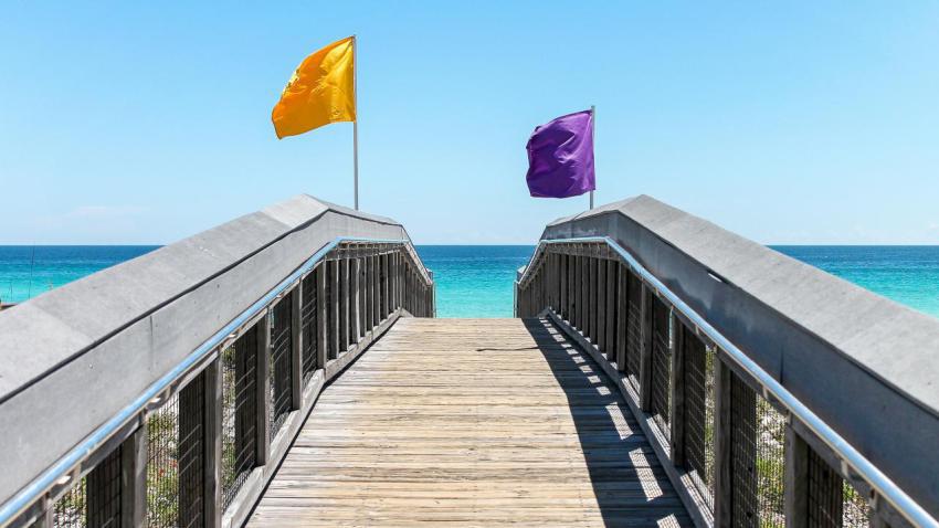 Beach Flags