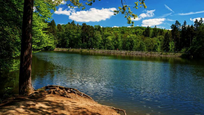 Bears Lake