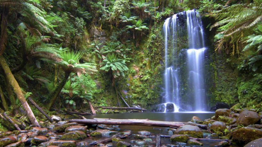 Beauchamp Falls