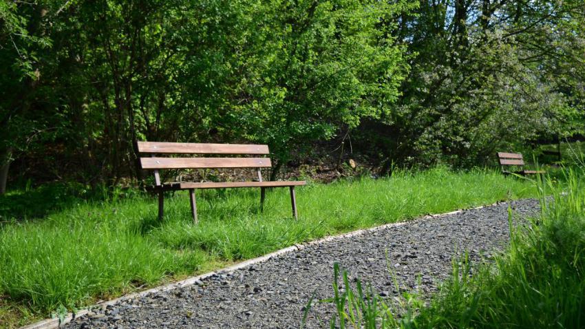 Bench