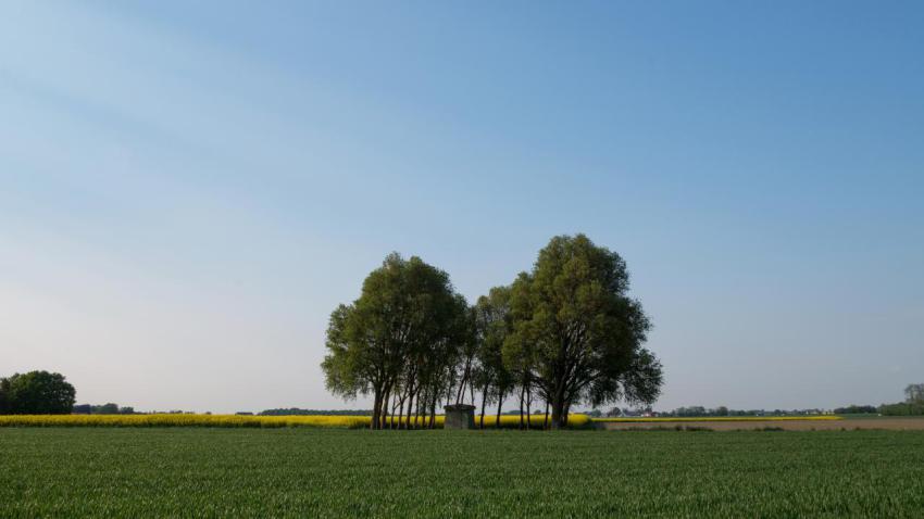 Between Fields