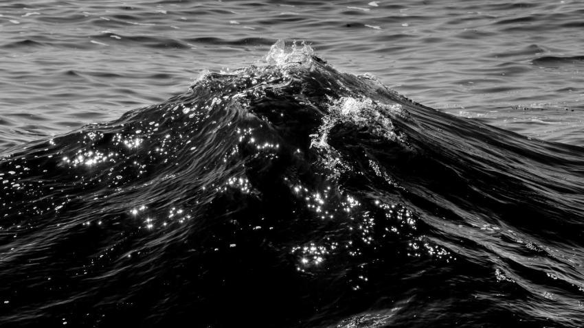 Black Mountain