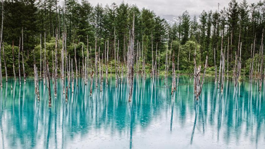 Blue pond in Hokkaido