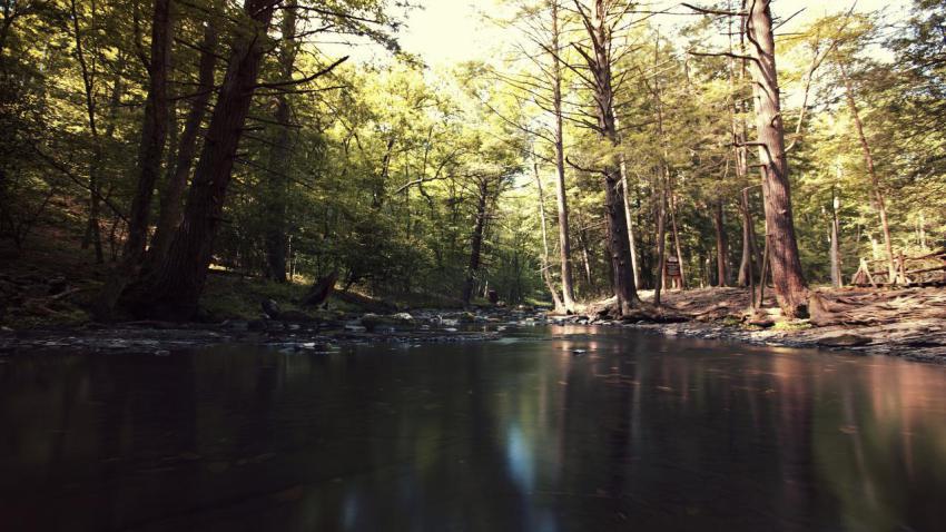 Bushkill Falls Trail 2