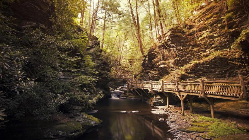 Bushkill Falls Trail Park