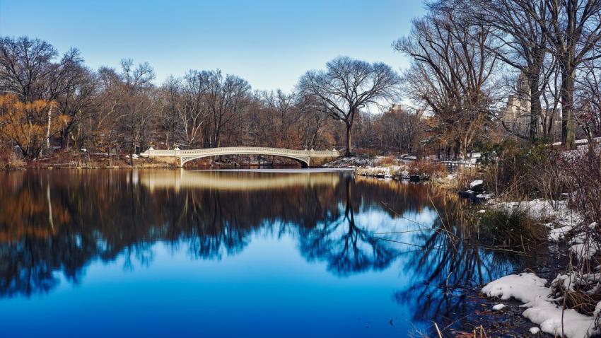 Central Park