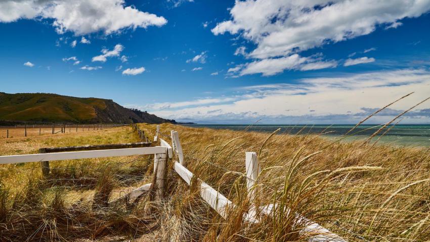 Clifford Bay