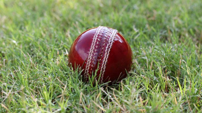 Cricket Ball