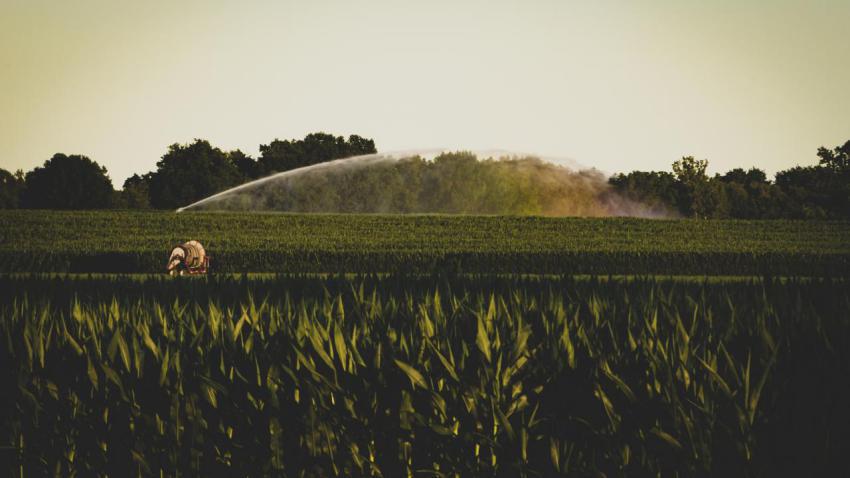Crop water rainbow
