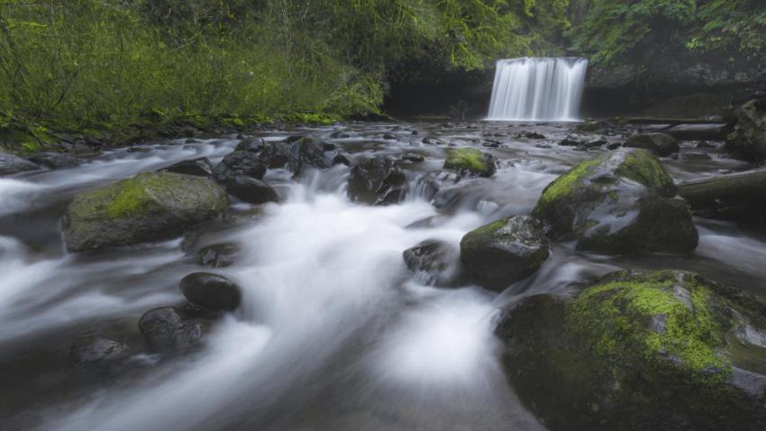 Currents of Butte Creek