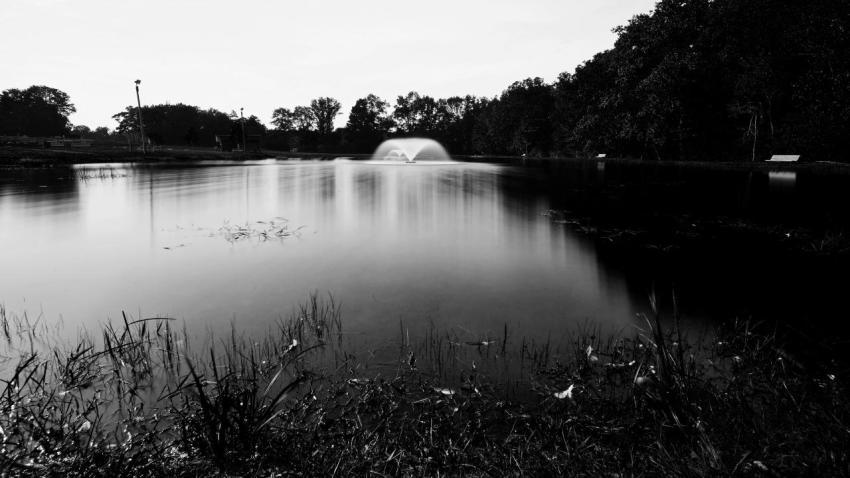 Dark Lake