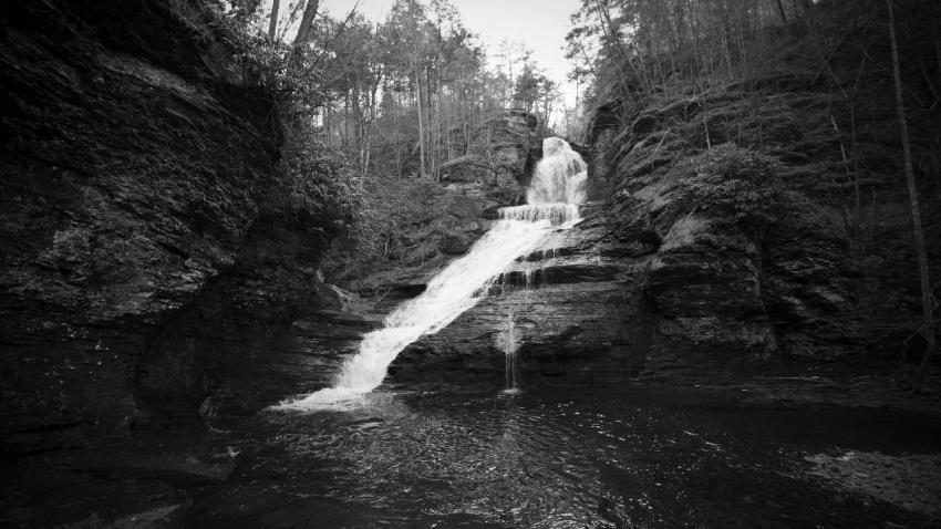 Dingman Falls BW
