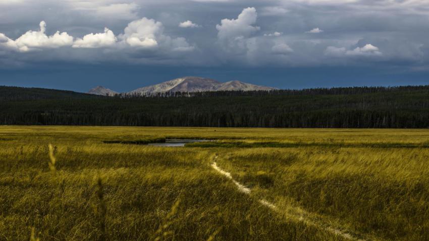 Exploring Yellowstone Park