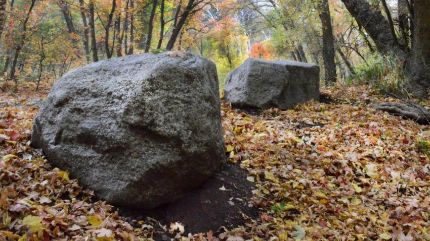 Fall Rocks!