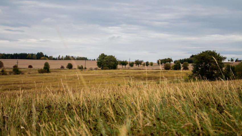 Field in Czech Republic