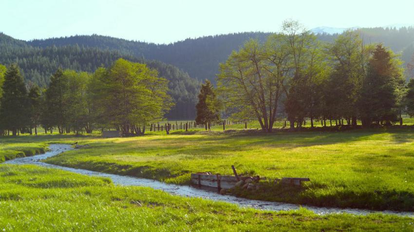 Fields Below the Mountains